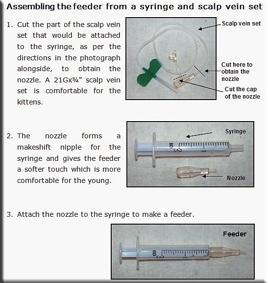 Devna Arora - Assembling a feeder for kittens