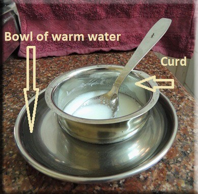 Devna Arora - Warming curd gradually