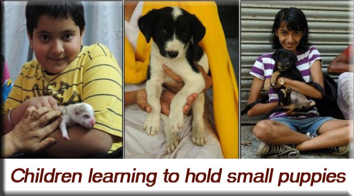 Devna Arora - Children holding puppies